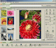 PhotoMeister Professional screenshot